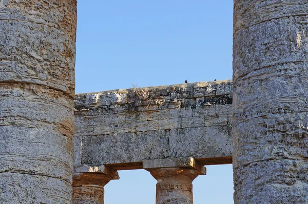 A trabeation, a Segesta templom, Szicíliában — Stock Fotó