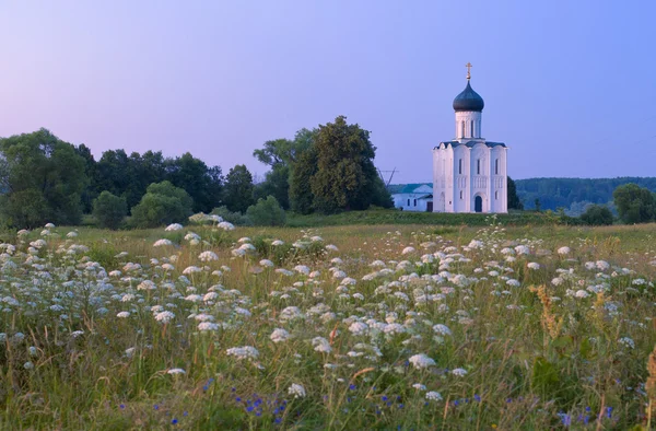 Church of the intercession on the Nerl — Stock Photo, Image