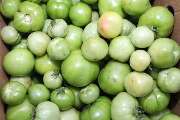 Green tomatoes as full frame photo. Raw pickles