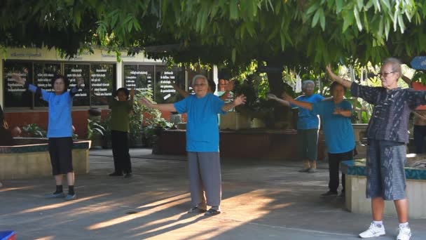 Ancianos mujeres tailandesas haciendo ejercicio — Vídeo de stock