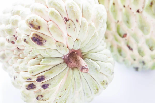 Close up pole of organic custard apple — Stock Photo, Image