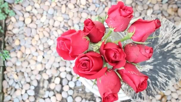 Spraying Water To Red Rose Bouquet — Stock Video