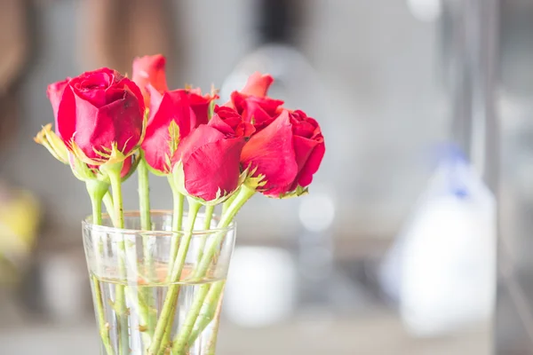 Ramo de rosas rojas florecientes en jarrón — Foto de Stock