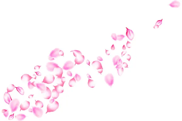 Pétalos Realistas Flores Sakura Caída Hermosos Pétalos Sakura Rosa Sobre — Archivo Imágenes Vectoriales