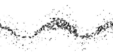 Siyah ayçiçeği tohumları. Dekoratif ayçekirdeğinin kusursuz deseni beyazın üzerinde. Yaz hasadı. Botanik parmak izi. Tekstil, kumaş, ambalaj, duvar kağıdı için klasik vektör tasarımı