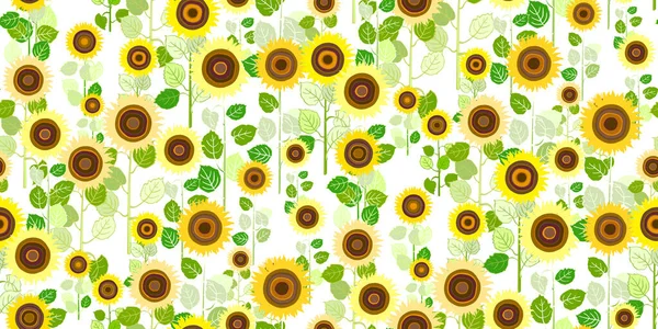 Krásné Rostliny Slunečnice Listy Bezešvé Horizontální Vzor Dekorativní Slunečnice Bílém — Stockový vektor