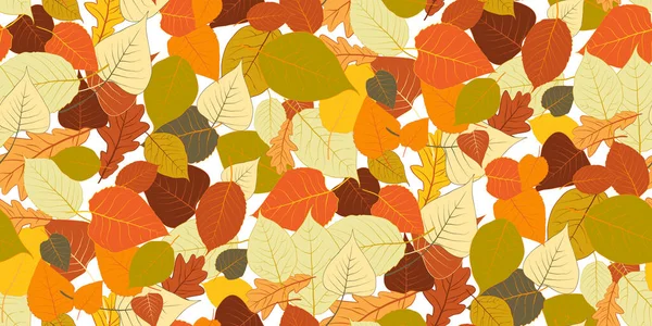 Bezešvé Vzor Jasné Barevné Podzimní Listí Izolované Bílém Pozadí Grafický — Stockový vektor