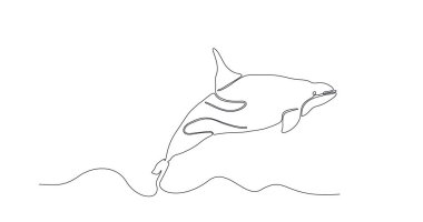 Büyük balina denizde yüzüyor. Siyah bir çizgi beyaz üzerine balina çiziyor. Şirket logosu kimliği için minimalist tarzda modern, sevimli memeli hayvan tasarımı, ulusal su hayvanat bahçesi ikonu konsepti. Vektör