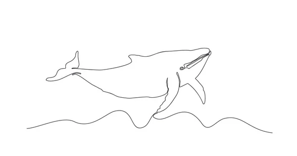 Grande Baleine Nage Mer Une Ligne Noire Dessinant Baleine Sur — Image vectorielle