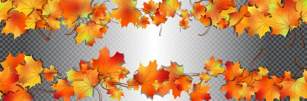 Colorful Maple Leaves Seamless Pattern Bright Autumn Foliage Isolated Transparent — Image vectorielle