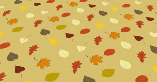 Bright Colorful Foliage Pattern Isolated Yellow Graphic Design Autumn Symbol — Stock Video