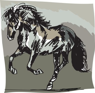 Stallion kroki. vektör çizim