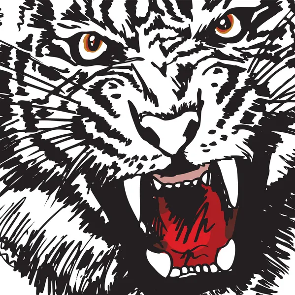 Bosquejo de tigre blanco. Ilustración vectorial — Vector de stock