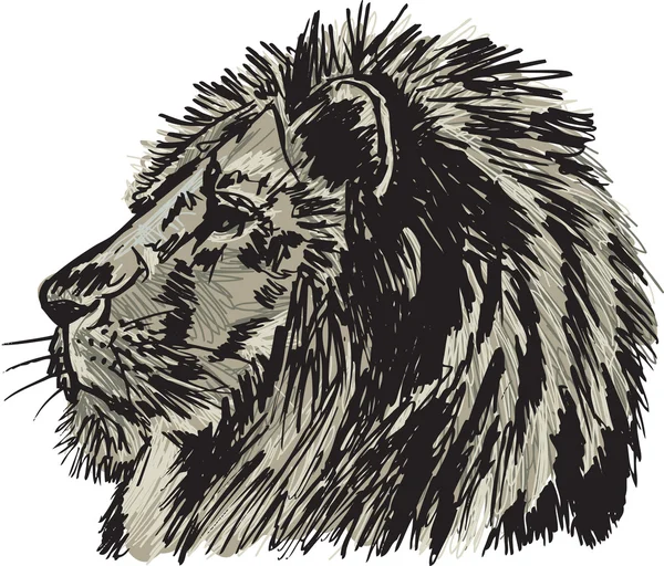 Эскиз большого африканского льва. Векторная иллюстрация — стоковый вектор