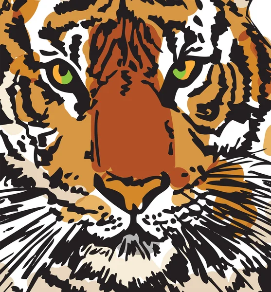 Náčrt bílý tygr. vektorové ilustrace — Stockový vektor
