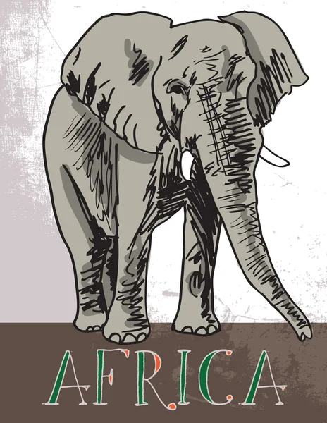 Afrika. vectorillustratie — Stockvector