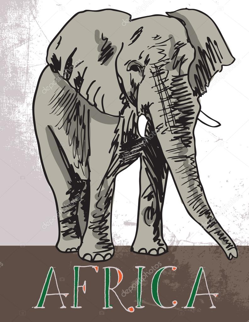 Africa. Vector illustration