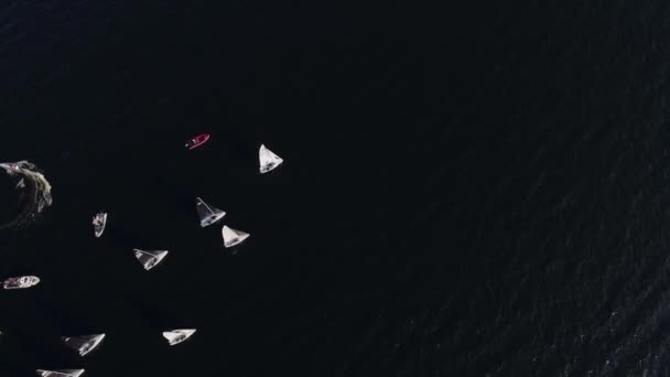 Início da regata de vela. Barcos à vela competem em velocidade no alto mar — Vídeo de Stock