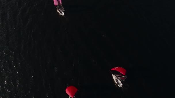 帆船比赛开始了。帆船在公海上以高速比赛 — 图库视频影像