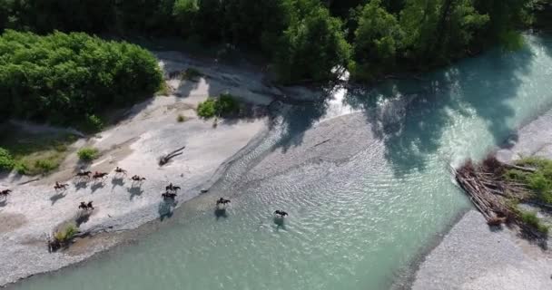 Grupo equestre cruza um rio de montanha - tiro de zangão — Vídeo de Stock