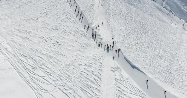 Mensen glijden van de skipiste af op ski 's en snowboards. Skipiste - verticaal bovenaanzicht — Stockvideo