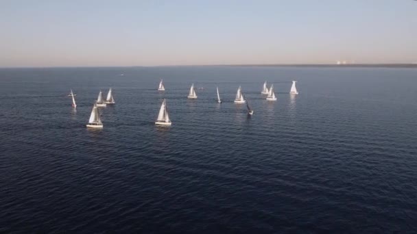 Yates de vela alineados en el mar durante una regata de vela y sombras proyectadas — Vídeo de stock