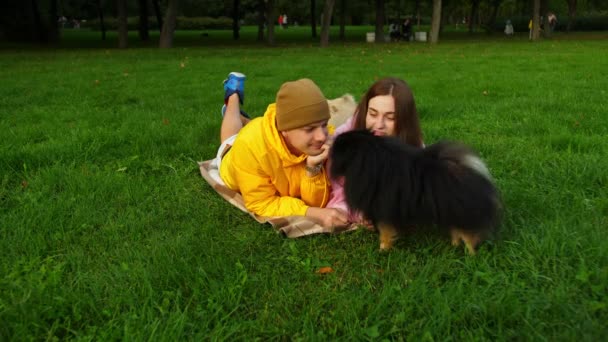 公園の芝生では若いカップルが面白いスピッツ犬と遊んでいます。犬は嫉妬してる — ストック動画