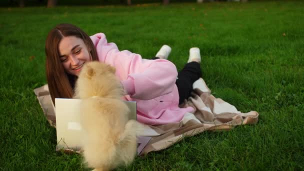 Un perro pequeño interfiere con una chica en el parque con una computadora portátil para estudiar o trabajar — Vídeo de stock