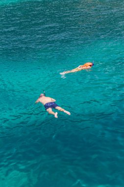 Tayland mercan yüzey görmek için dalış turistler