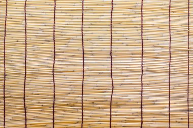 Bambu kör