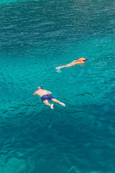 Turistas haciendo snorkel para ver la superficie de coral en Tailandia — Foto de Stock