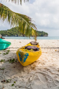 kayaks tropik sahilde, Tayland