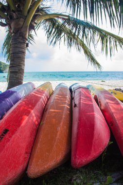 kayaks tropik sahilde, Tayland
