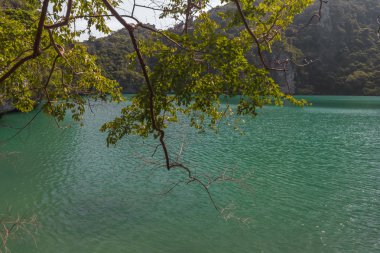 iç deniz bakış açısı