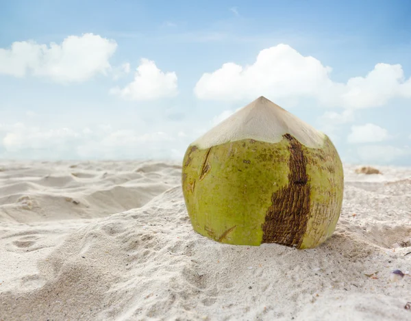 Coconut fruit on the sand beach — Stock Photo, Image