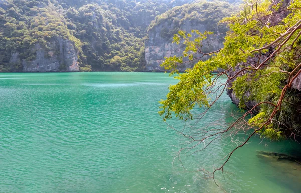 翡翠的内在海 — 图库照片