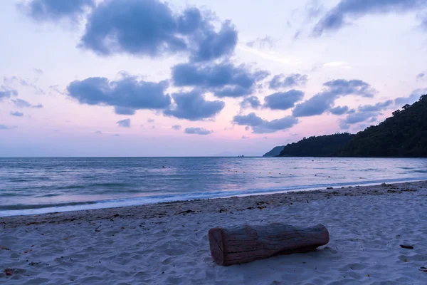 Hout aan strand kust tijdens zonsondergang Rechtenvrije Stockafbeeldingen