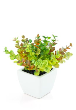 plastik yeşil ağaç ayır