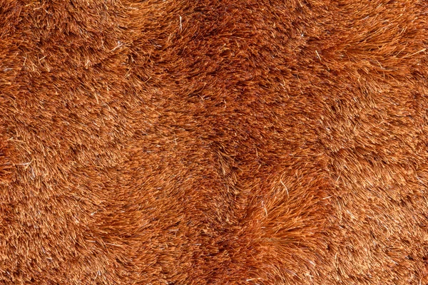 Fine Brown Fur Texture Stock Photos - Free & Royalty-Free Stock