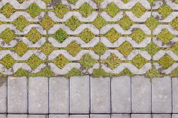 Grass between cobble-stones — Stock Photo, Image