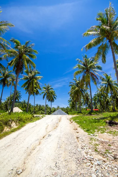 Road on island — Stock Photo, Image