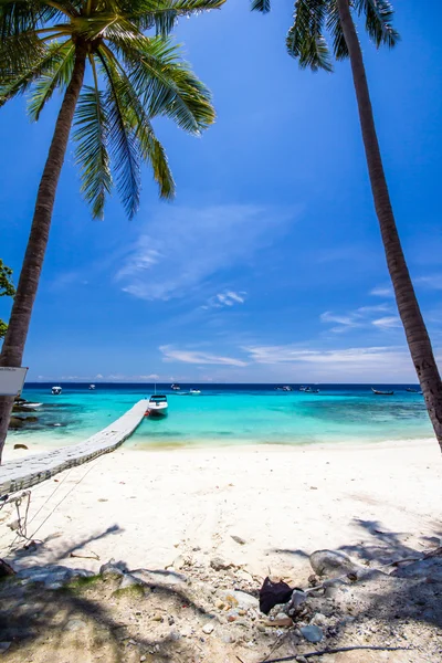 White umbrella and chairs under coconut tree — Stock Photo, Image