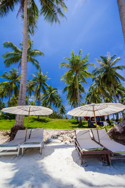白い傘と椅子ココナッツの木の下で — ストック写真