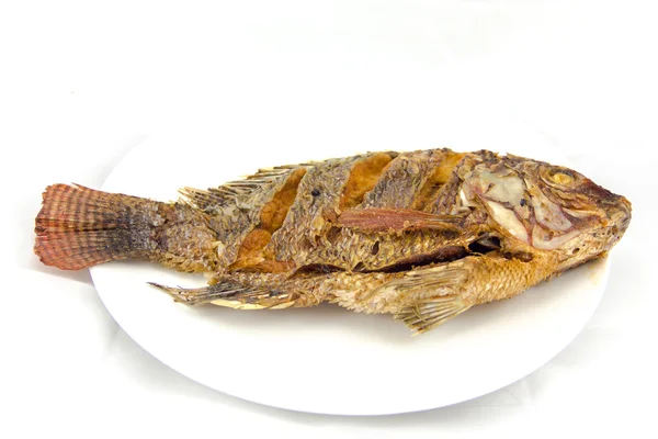 Gebratener Fisch — Stockfoto