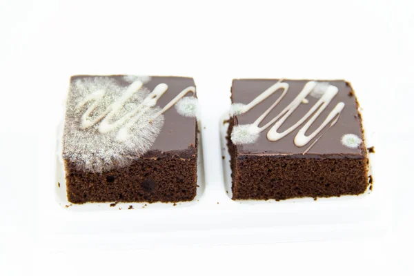 Fungo su brownie al cioccolato — Foto Stock