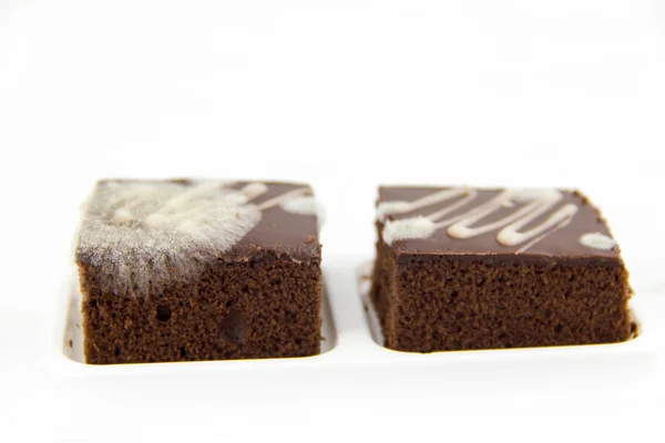 Fungo su brownie al cioccolato — Foto Stock