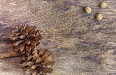 Kuru çiçekli çerçeve