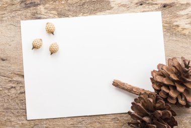 Beyaz Kağıt arka plan karede kuru çiçekler