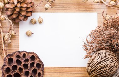 Beyaz Kağıt arka plan karede kuru çiçekler