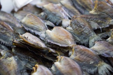 kurutulmuş fishs